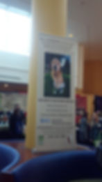 APF 2014