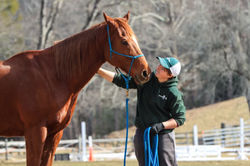 332862534_957197252313317_2460465209505524848_n