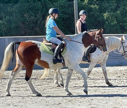 242094117_2640856459394187_7207453604596259105_n_edited