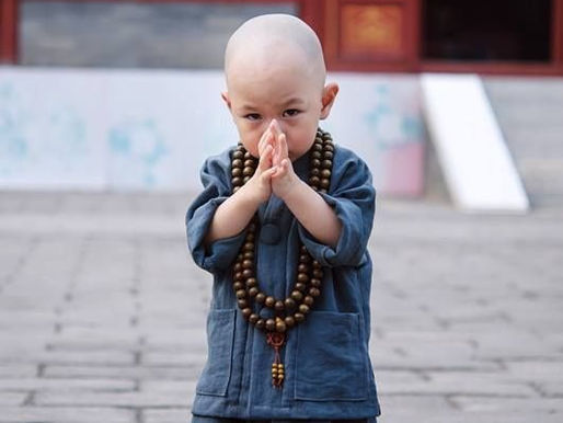 Supple as Water, Strong as Steel: The Daoist Path to Lifelong Flexibility