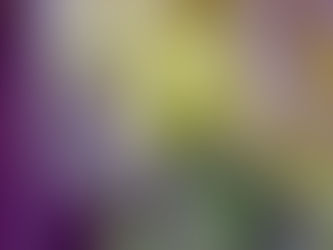 Too Clean, Too Processed, Too Indoors: The Surprising Truth Behind the Allergy Epidemic