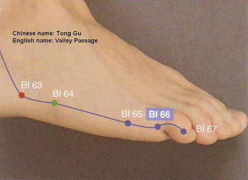 the points of winter: Tong Gu (BL66)