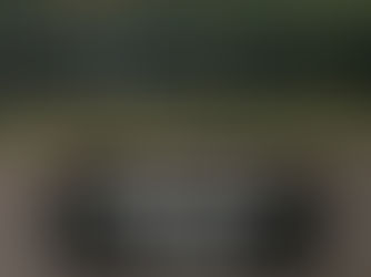 Seven dogs, suspected of being kidnapped by animal traffickers, successfully escaped from a village in Jilin and trekked 17 km back home.