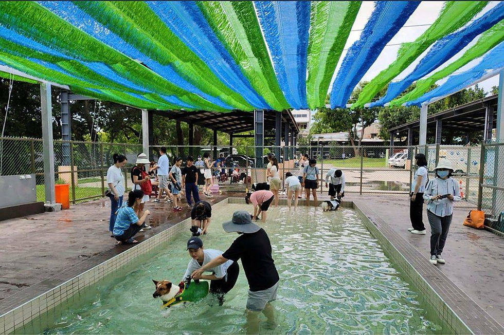 Taiwan's first public pet playground was established at the Nanchang Animal Protection and Education Park in Taoyuan City.