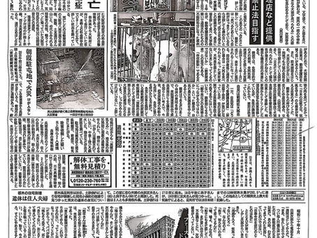 日本主流大報首次以黃金版面聚焦犬貓禁食立法