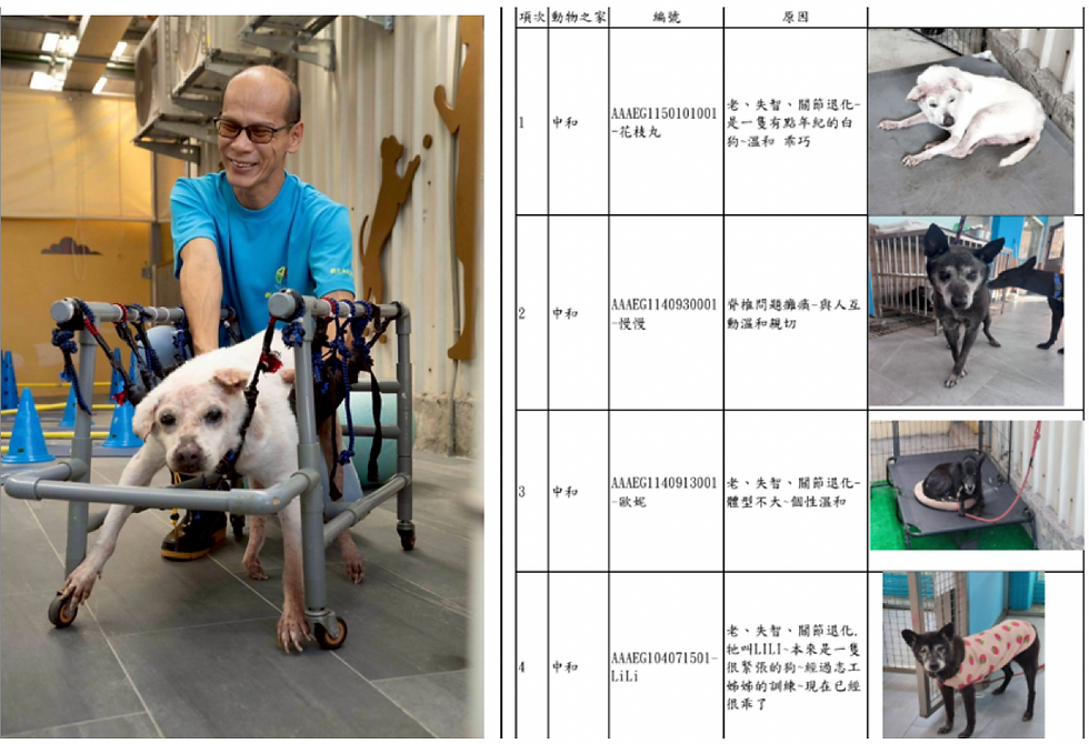 車椅子生活を送る麻痺犬や認知症の老犬を、人々は喜んで引き取ってくれるだろうか?それは今後の成り行きを見守るしかない。(出典:新北市政府ウェブサイト)
