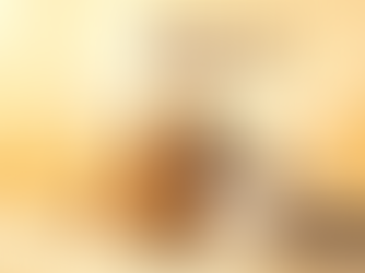 WDA praises Sanming's innovative companion animal legislation and calls for the addition of clauses prohibiting the consumption of dogs and cats.