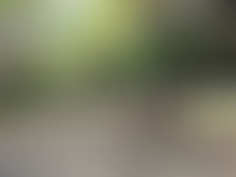 なにが　起きてるの？