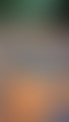 見えてるけど 見えてない。