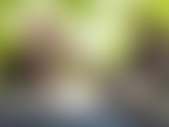 おやこまめ🐣🐓