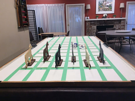 Indoor Horse Races.JPG