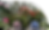 about photo 2 pt 2.png