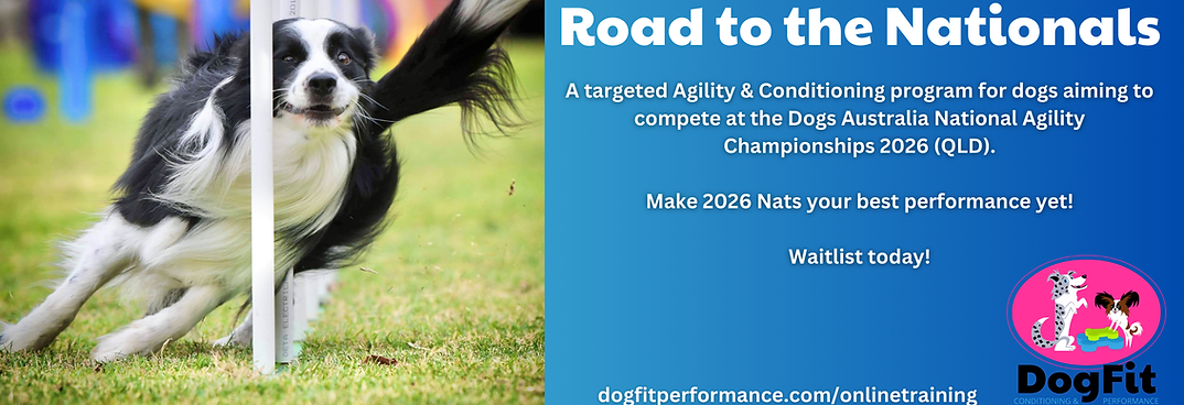Banner - Road to Nationals 2026- DogFit Agility & Fitness.png