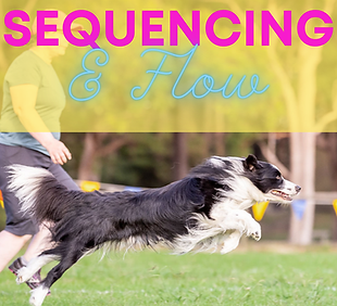 Sequencing & Flow (1).png