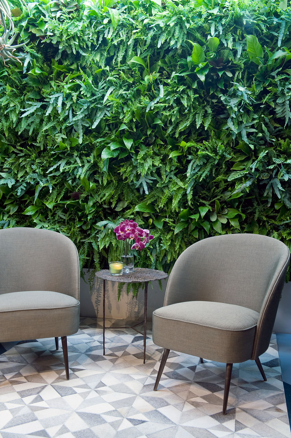 5 Mistakes People Make When Designing a Living Wall in the Mediterranean Climate