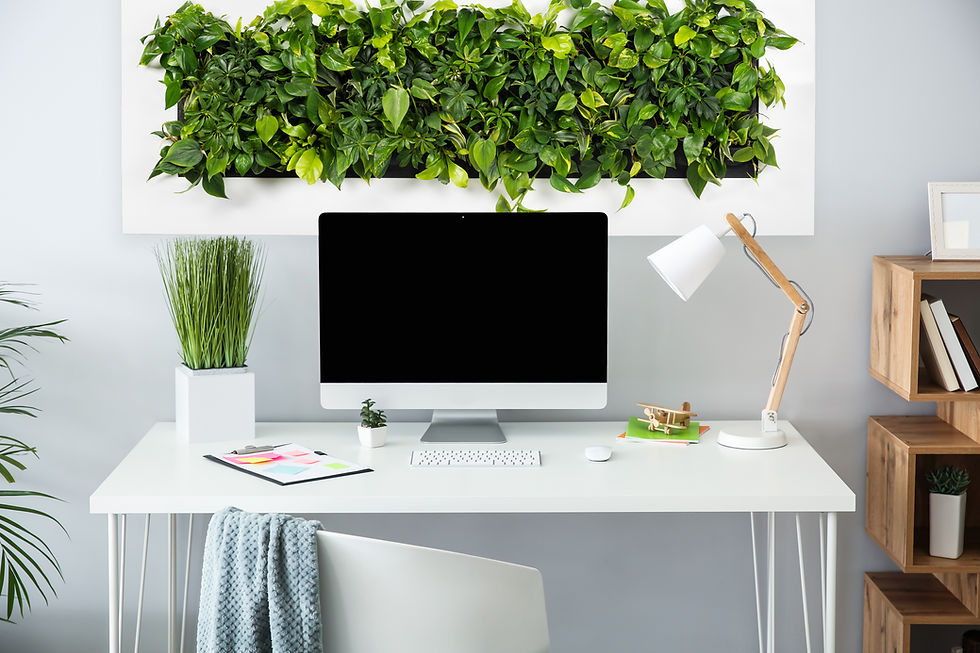 self-watering plant frame for modern biophilic office interior design Costa del Sol