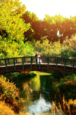 Bonnie and Stephen Popiel Wedding  (454)