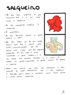 herbario 3_edited.jpg