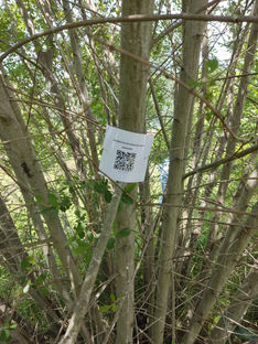 WhatsApp Image 2023-06-07 at 14.46.46 (3).jpeg