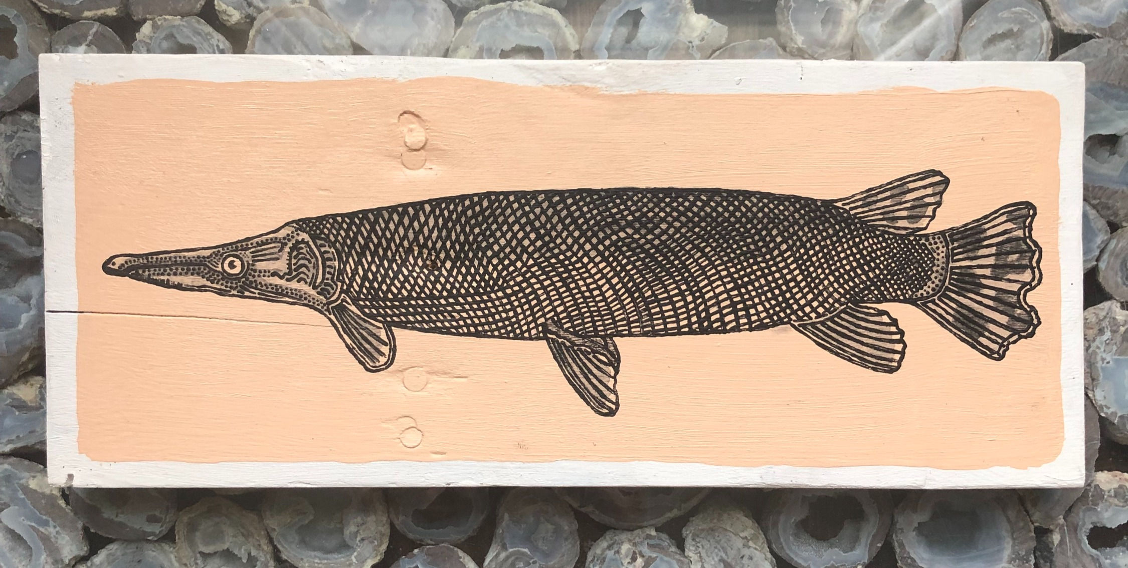 Garfish, A living Relic