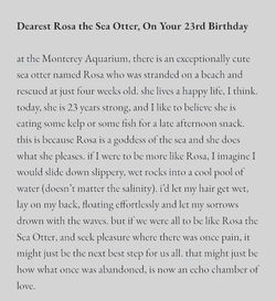 [335] Dearest Rosa the Sea Otter, On Your 23rd Birthday