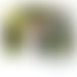 freie Trauung im Weingut Hahn