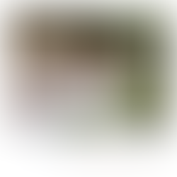 Burg Schwarzenstein Herbsthochzeit