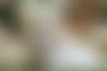 freie Trauung Raumühle