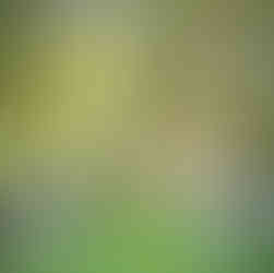 Hofgut Adamstal Hochzeit mit Kindern