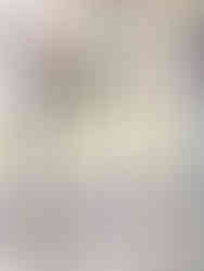 Traubogen Hochzeit Weingut Raddeck