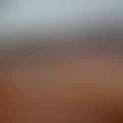 Hochzeit im Rheingau