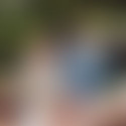 freie-trauung-jagdschloss-platte-wiesbaden-traurednerin-steffi-burger