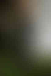 Wedding Details Bräutigam