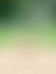 Wedding Villa im Tal