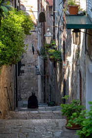 Çamaşırların asıldığı, dar ve basamaklı mermer sokaklarda yürüyen insanlar ve duvarlardaki sanatsal yağmur tahliye boruları (maskeronlar)
