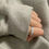 Thumbnail: Sanrio Hello Kitty Ring 4 mm Silver Plated Ring