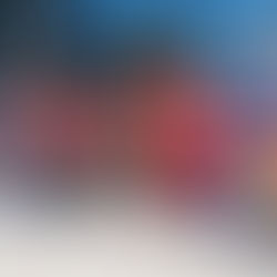 Motor City Match helps Detroit author bring book bar vision to life in Corktown