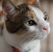 DSC_2564.JPG