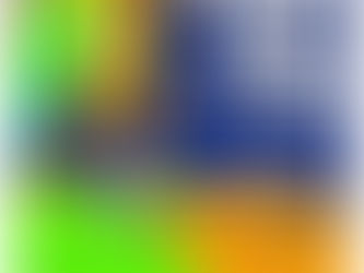 FIRST VIRTUAL WALKA-THON