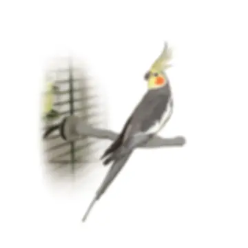 KH9010 K & H Thermo-Perch Small