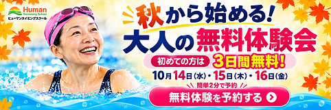 秋の大人向け水泳無料体験会 (2).png