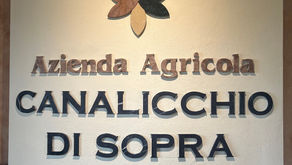 Canalicchio di Sopra Montalcino