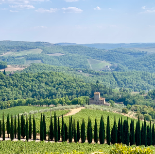 Super Tuscan Wines: Toscana I.G.T. 2026