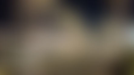 Terre di Toscana 2022