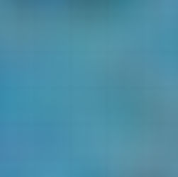 Amarone della Valpolicella 2025