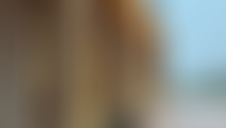 Tenute Venturini Foschi, Emilia Romagna