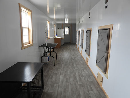 Inside Kennel of Goldstar Cavapoos
