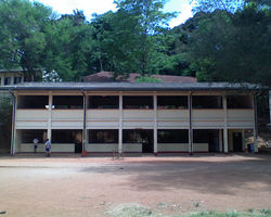 Vijaya college