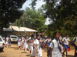 Vijaya college