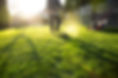Mowing the grass with a lawn mower. Garden work concept background..jpg